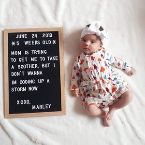 Meet your Posher, Gail